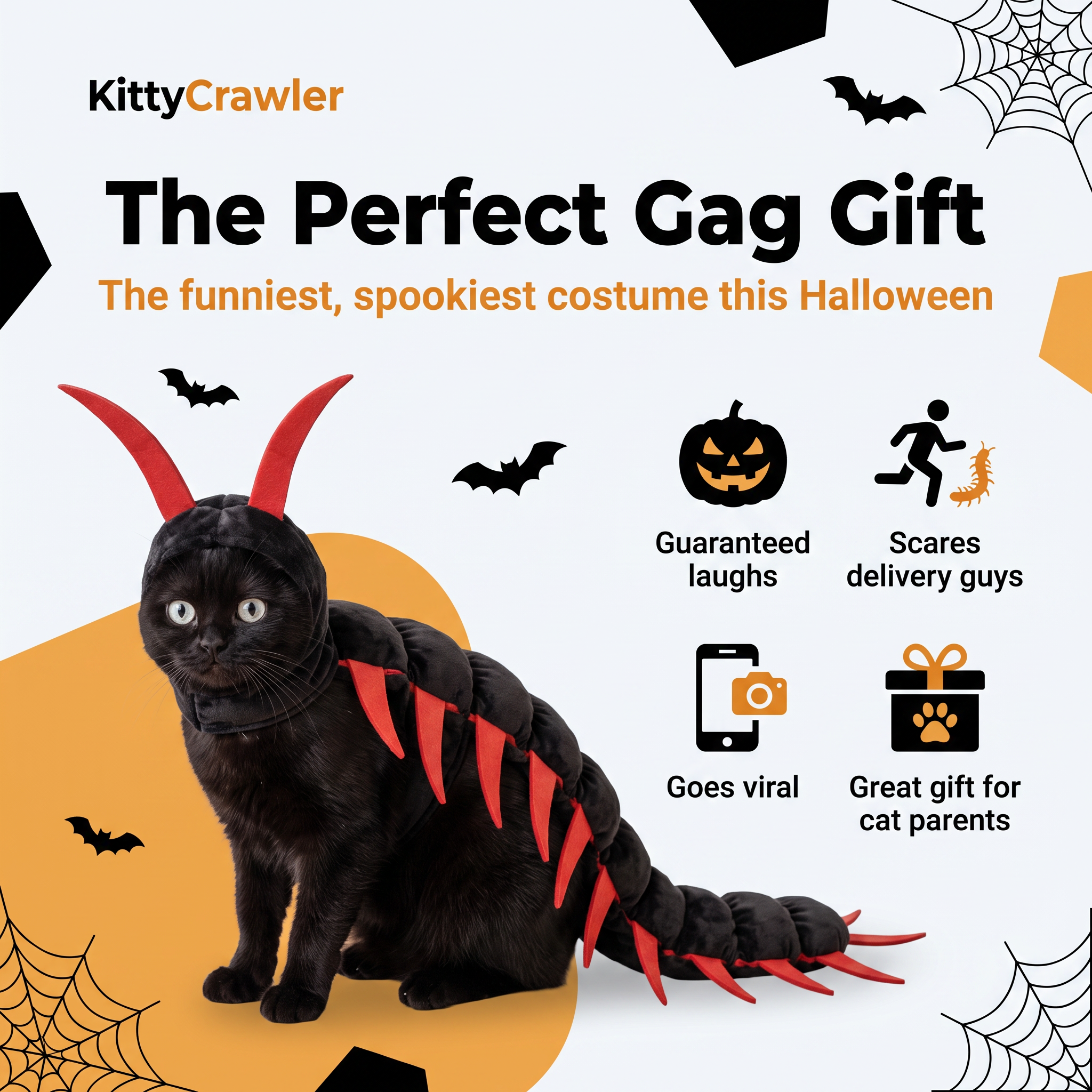 Halloween cat costume shown in a spooky seasonal setting